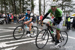 17637214_1891538221130329_8427289824963851295_o