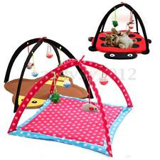 Thumbnail: Cat Activity Center with Hanging Toy Balls, Mice & More