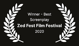 Zed Fest Film Festival - Winner - Best S