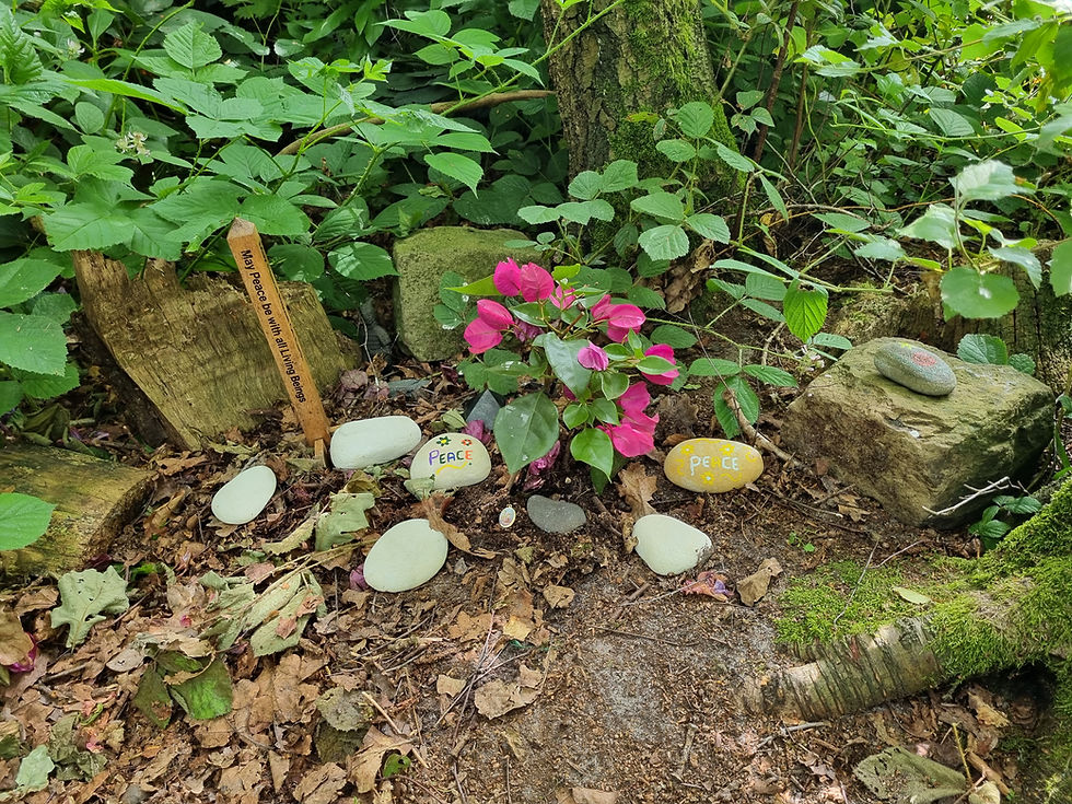 Summer Solstice Peace Meditation