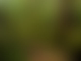 Emerald Covenant - update