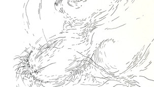 Echolocation Series_Karina Hean_8x6 inches, ink _2021.jpeg