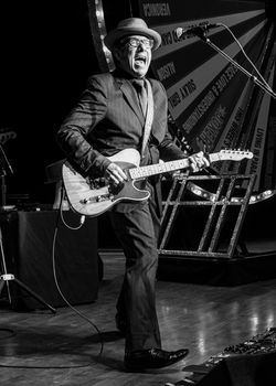 Elvis Costello