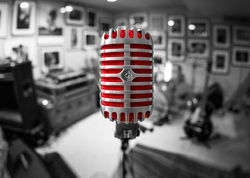Shure 55SH