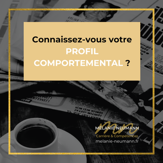 Profil comportemental