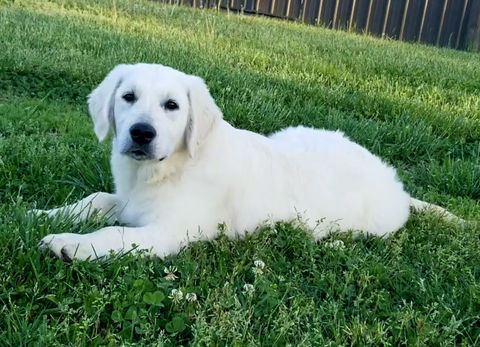 casper2.jpg