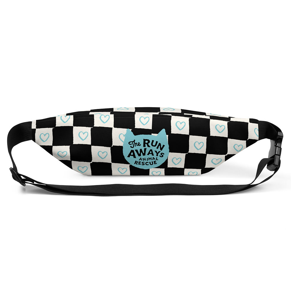 Thumbnail: Fanny Pack