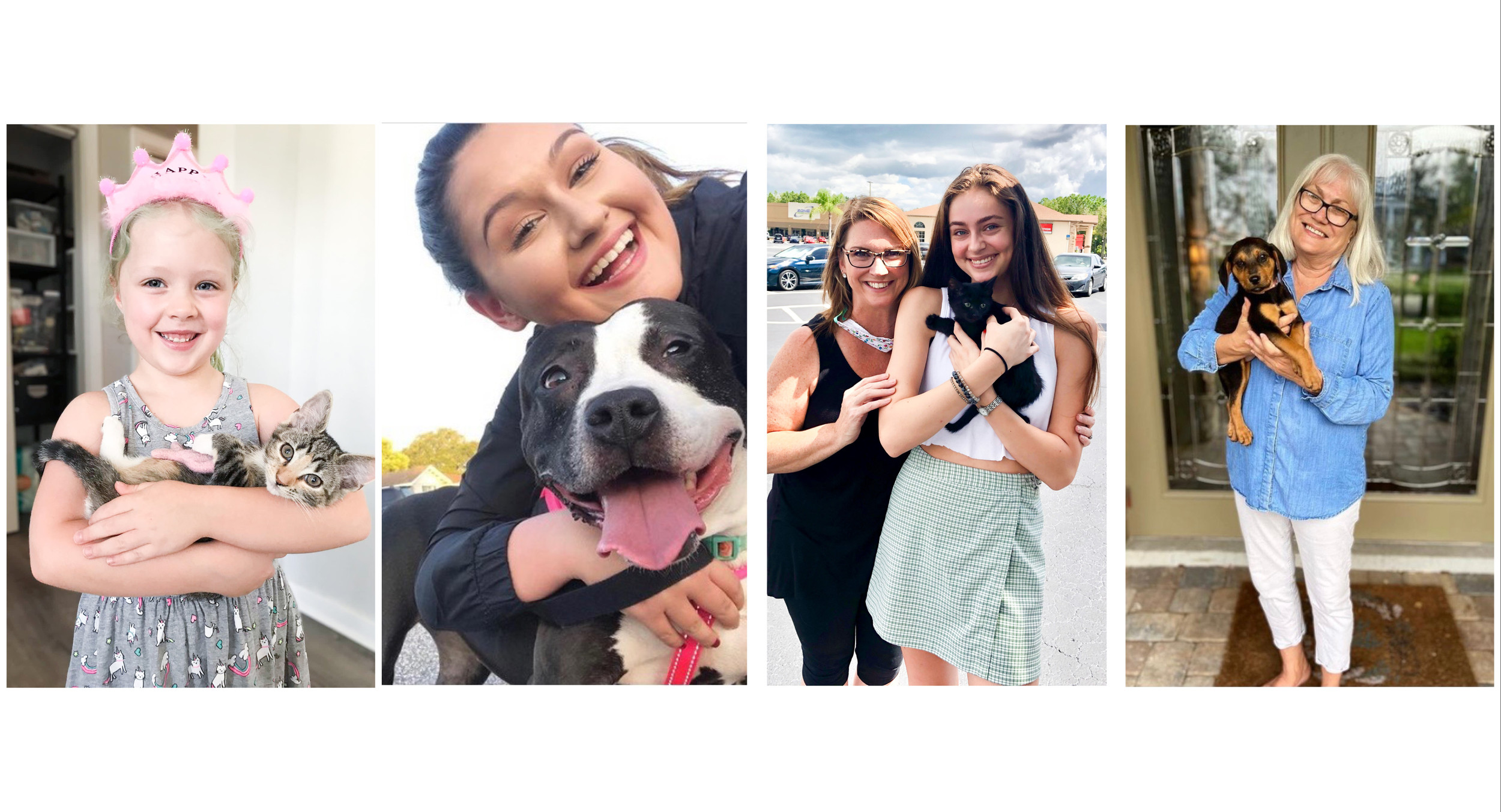 Pet Adoption Process | The Runaways Animal Rescue - Pasco County, Florida