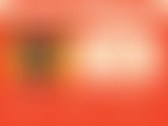 Lịch Workshop tại các cơ sở của CHOI trong tháng 3 này!!!