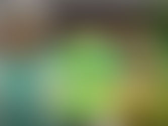 Rick and Morty to have a live action?