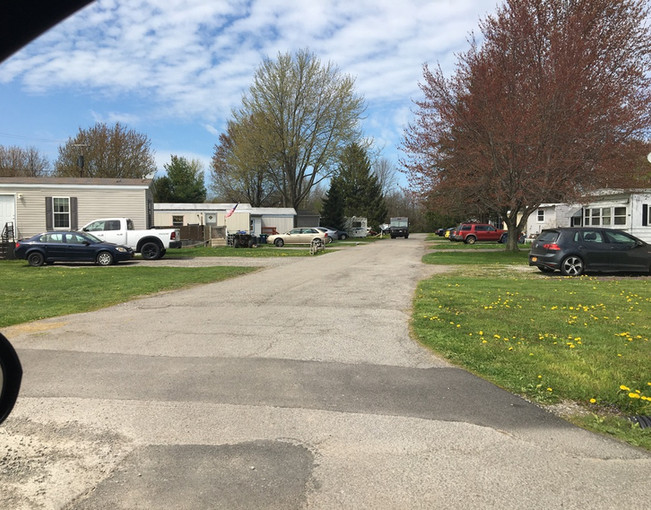 ABOUT Ransomville, NY Dorwood MHC