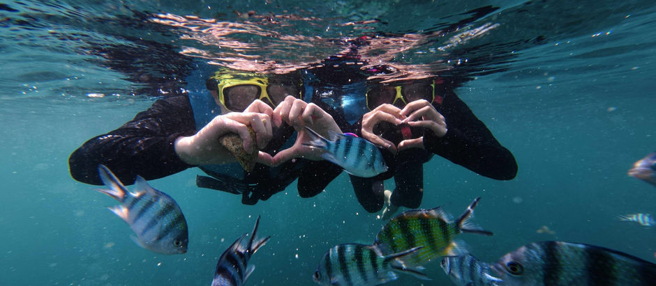Snorkeling on a Hon Thom Island Tour: What to Expect