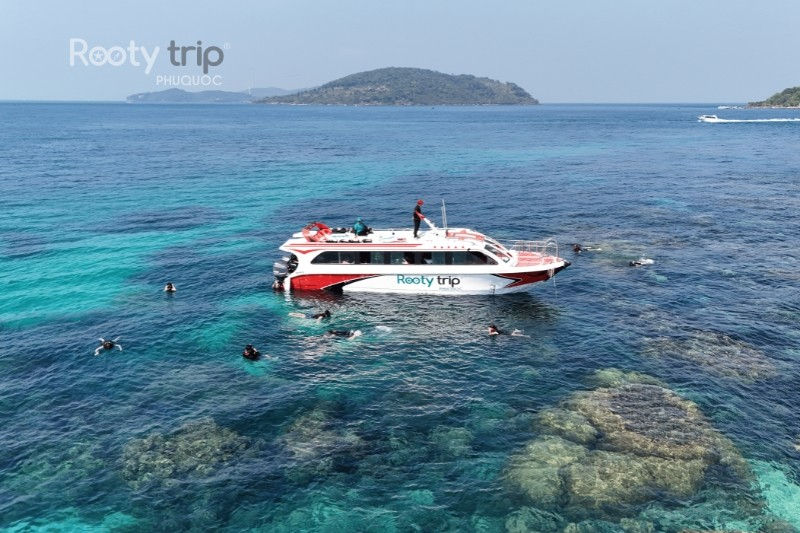 Choose best snorkeling tour with Rooty Trip