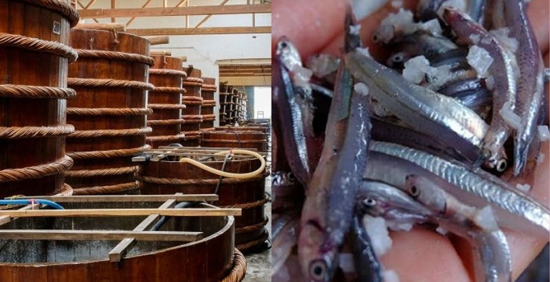 Phu Quoc Fish Sauce Origin – The Story Behind Vietnam’s Famous Nuoc Mam