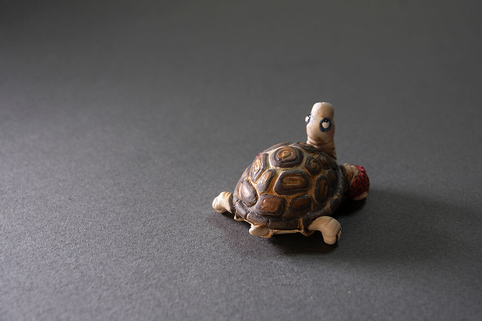 Thumbnail: Tortoise AP 8