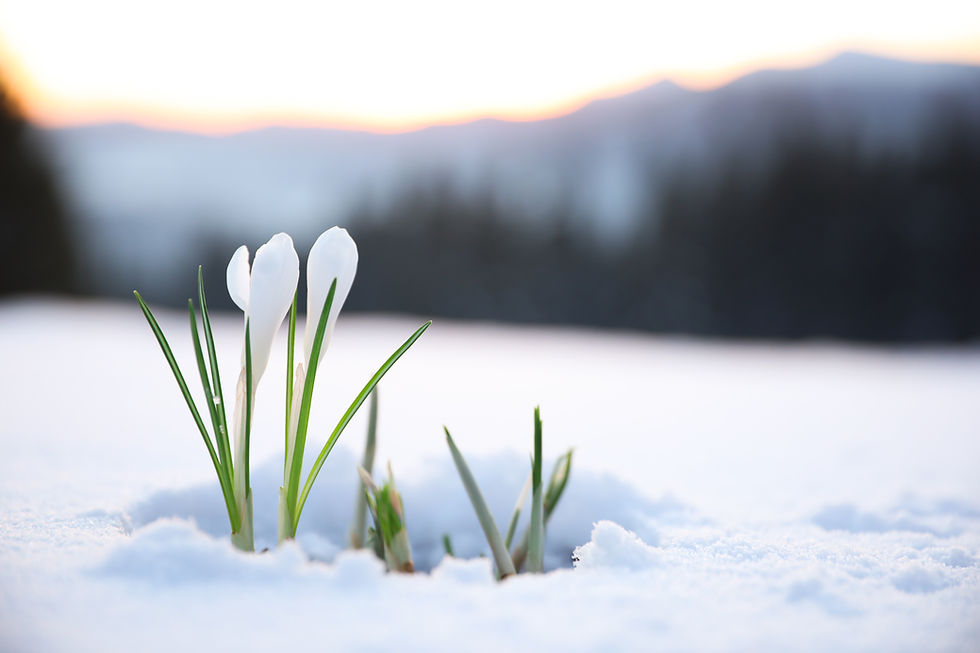 AdobeStock_326346577.jpeg