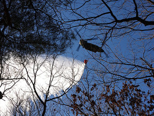 続く林野火災　静岡・藤枝　CH47が空中消火