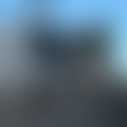 陸自中方「07南海レスキュー」　海上輸送群が初参加