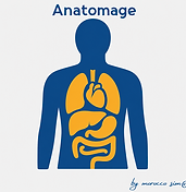 AN