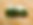 tongue_sandwich.png