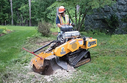 717 Arborist Stump Grinding Mechanicsville, Camp Hill, Harrisburg, Cumberland and Dauphin Counties