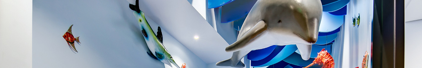 Patient Portal header with cute dolphin