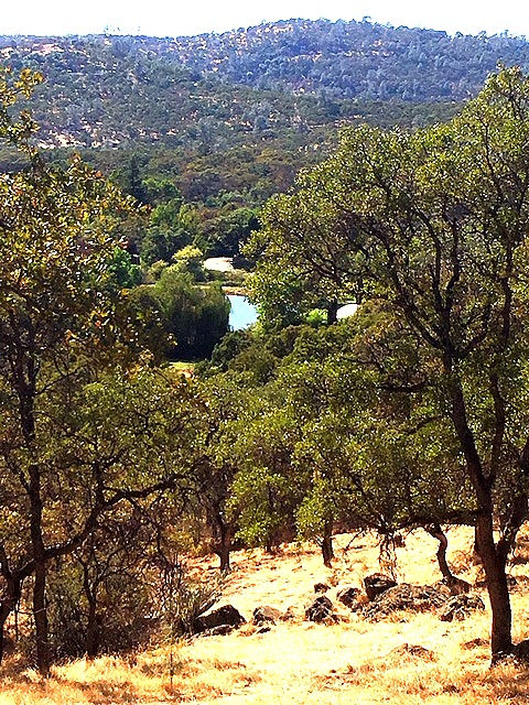 Pond%20and%20mountain%20views_edited