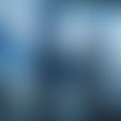 Key Takeaways from the June 2025 Property Monitor Report