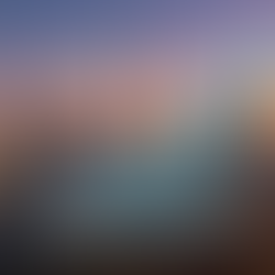 Dubai Commercial Real Estate Record Occupancy