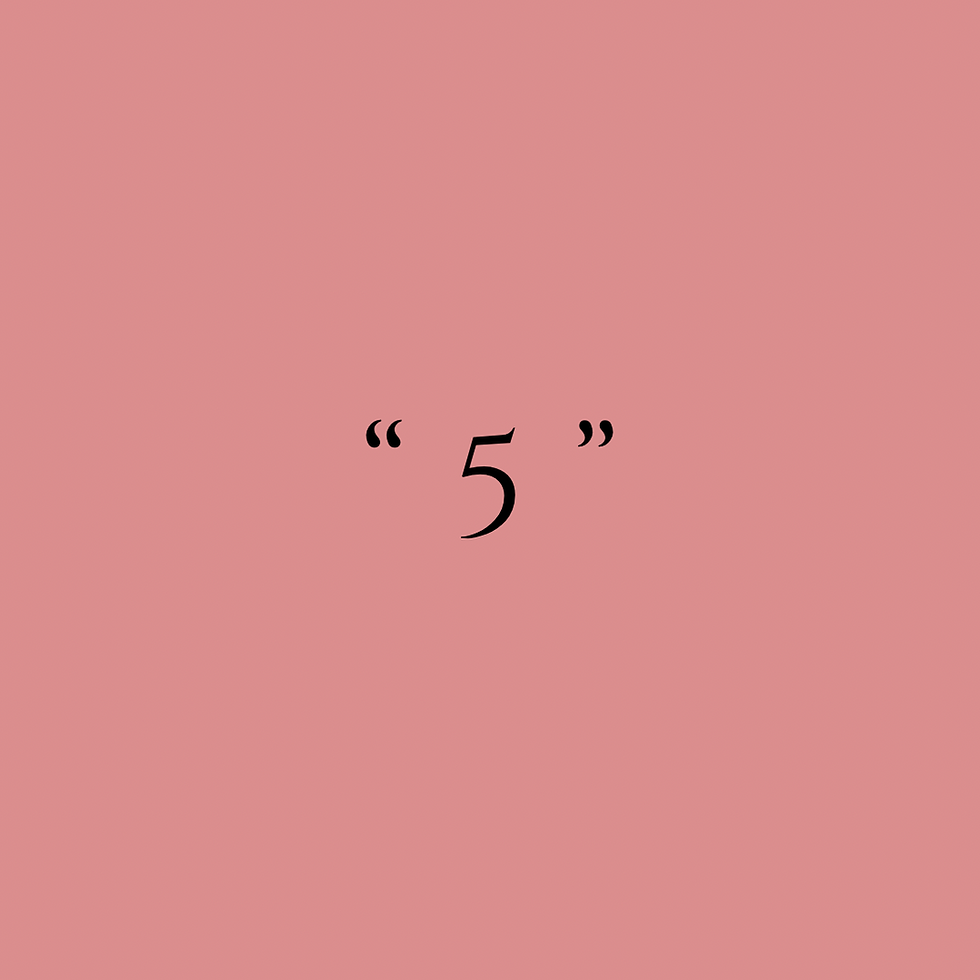 ALBUM Kopyası - 5.PNG