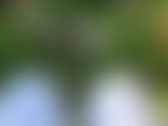 High Sensitivity Explained: What It Is and How It Shows Up in Everyday Life