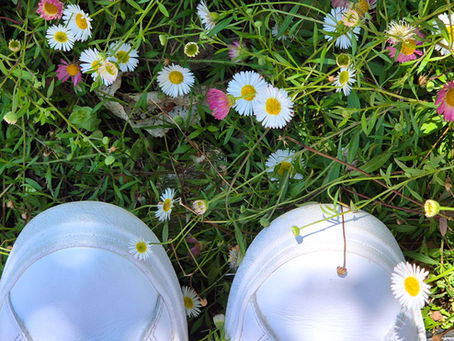 High Sensitivity Explained: What It Is and How It Shows Up in Everyday Life