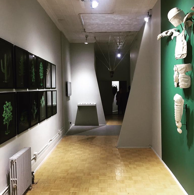 Contemporary Art, Erin Joyce, New York City, Curator