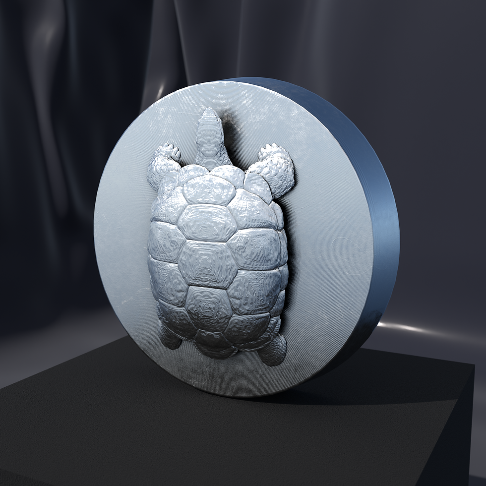 Giant Turtle medallion in Silver .999 Fine, front view of the relief design