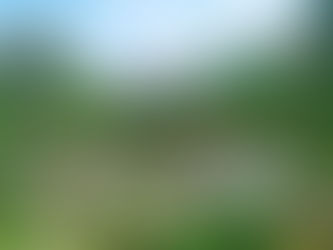 Du lịch Ninh Bình những địa điểm không thể bỏ qua