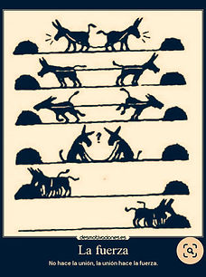 âne senseigne sagesse
