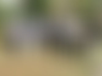 Fazenda Sálvia recebe visitas e autoridades