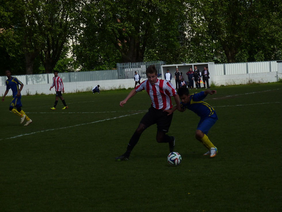 P1040646.JPG
