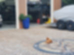 paverart, landscape architecture, compass rose, driveway envy