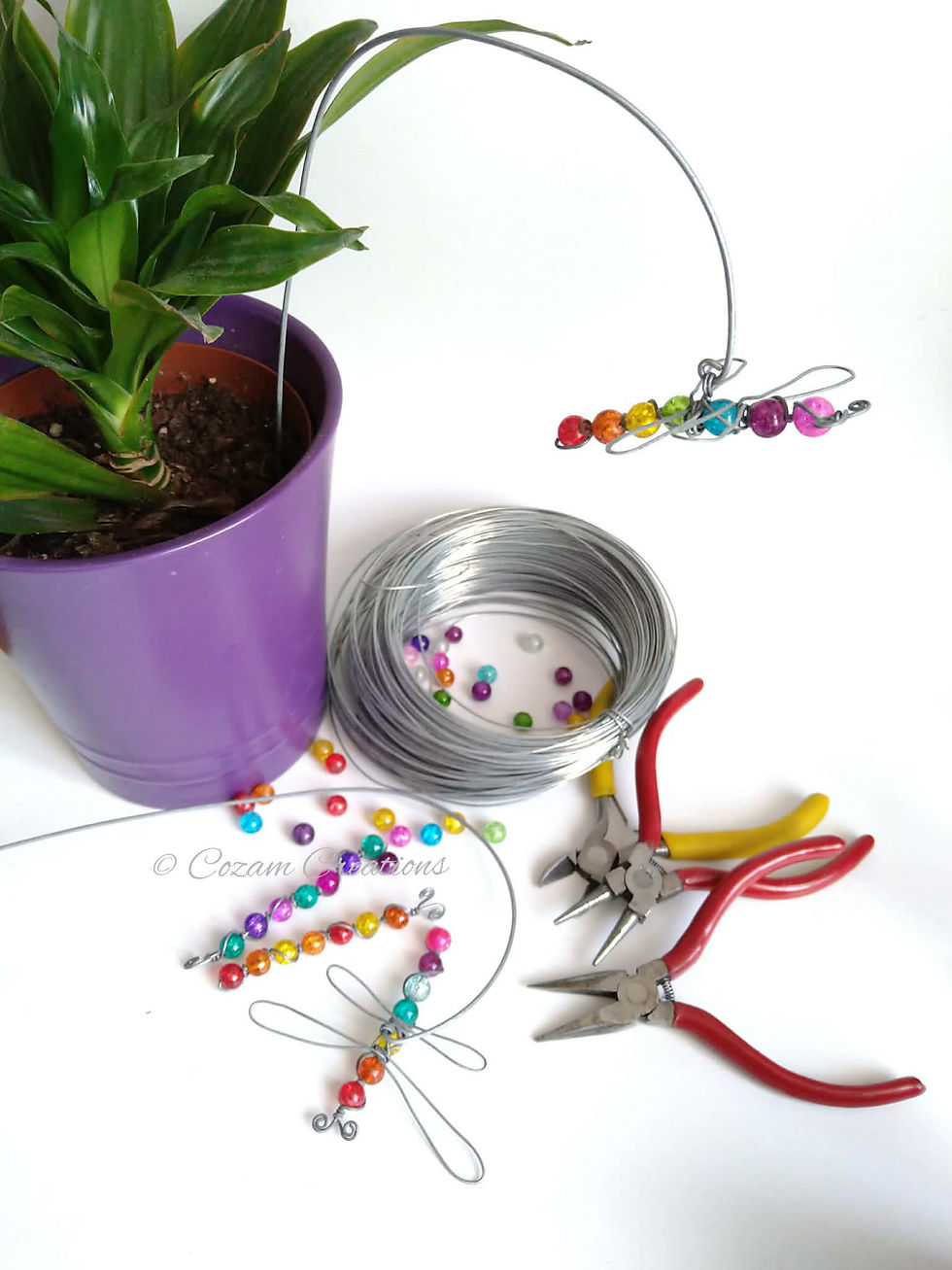Dragon Fly Pot Decorations with Corrie