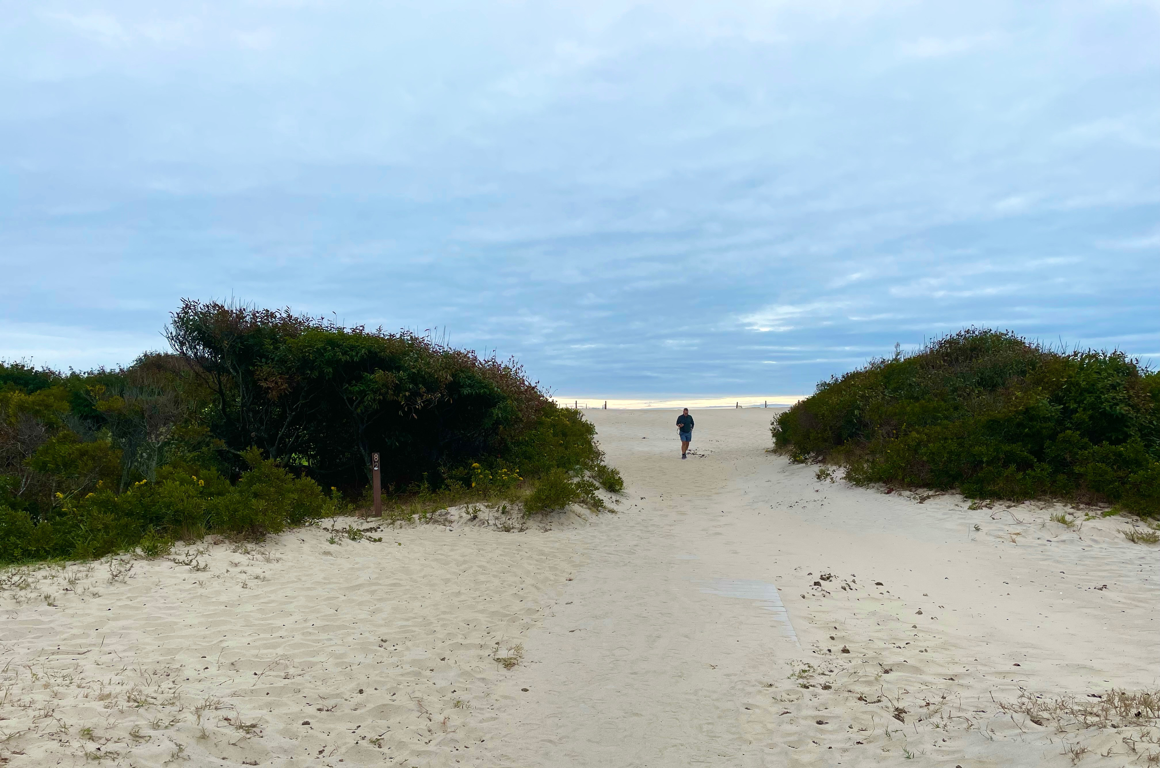 Assateague National Park Beach 8x10" Print