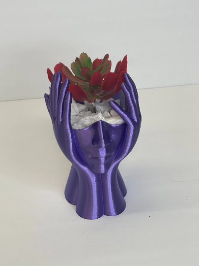 Thumbnail: Hands on Face Succulent Planter