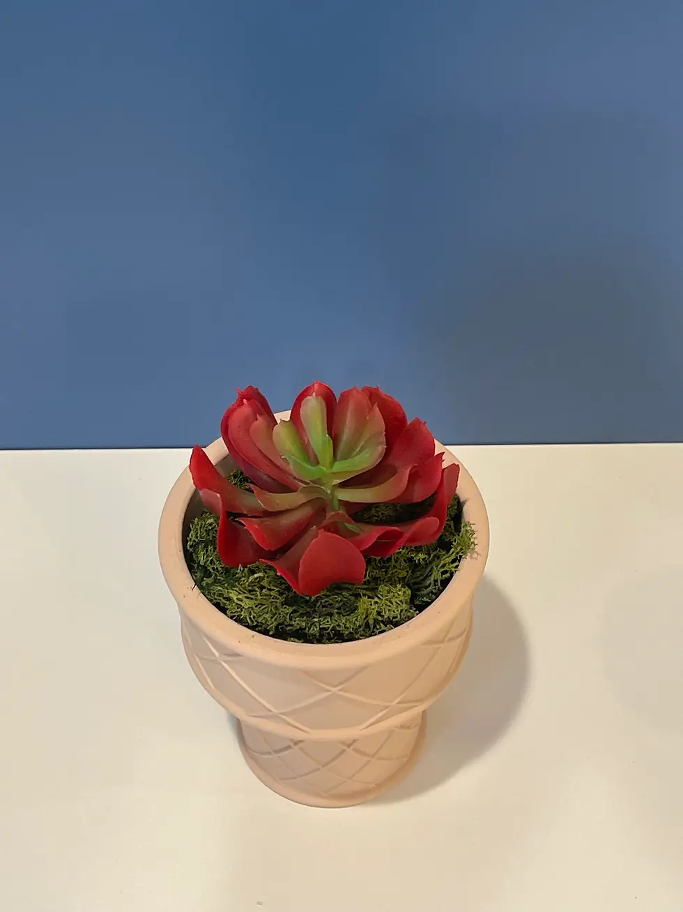 Thumbnail: Ice Cream Cone Planter | Indoor Garden | Succulent Plants | Food Planter