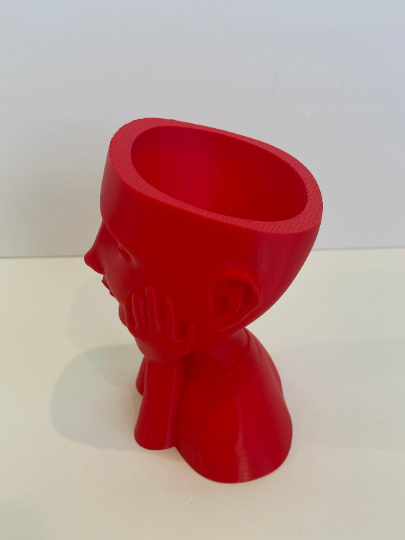 Thumbnail: Face Planter Flower Pot