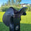 Miniatura: Fiber carbon saddle