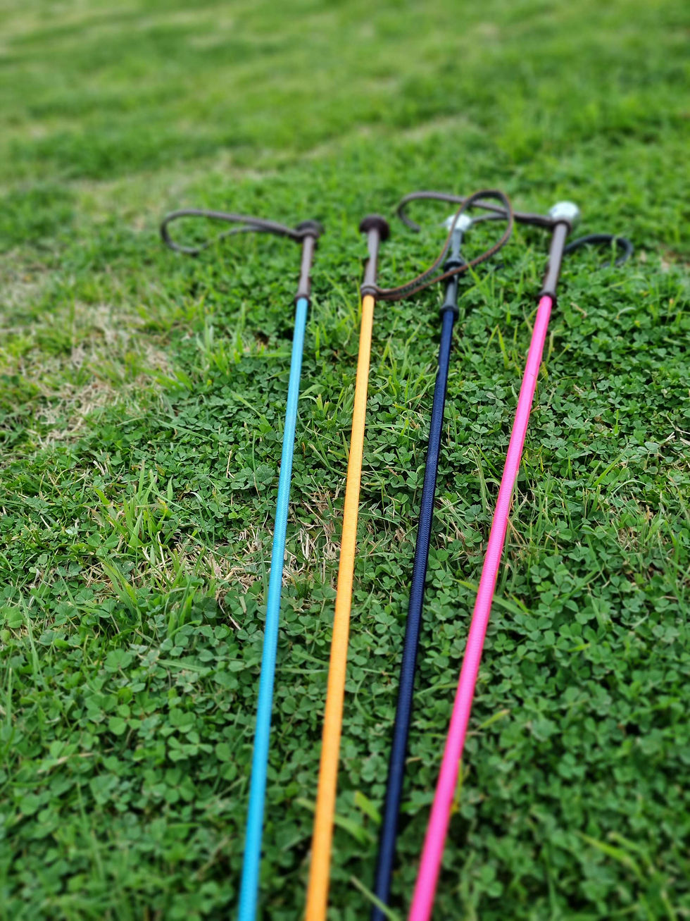 Miniatura: Whips 