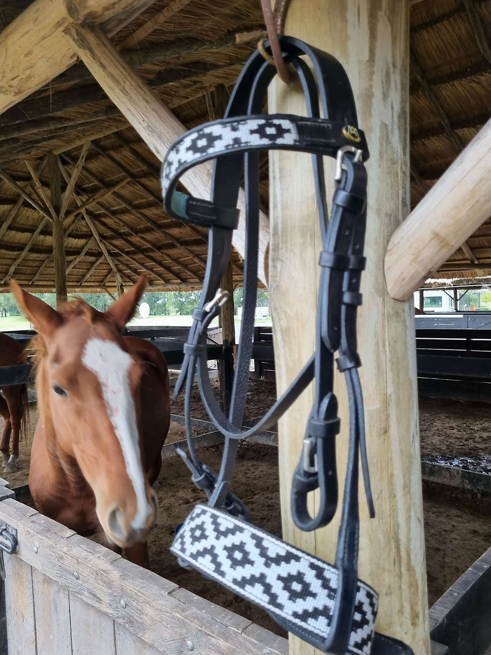 Miniatura: Pampa Bridle 