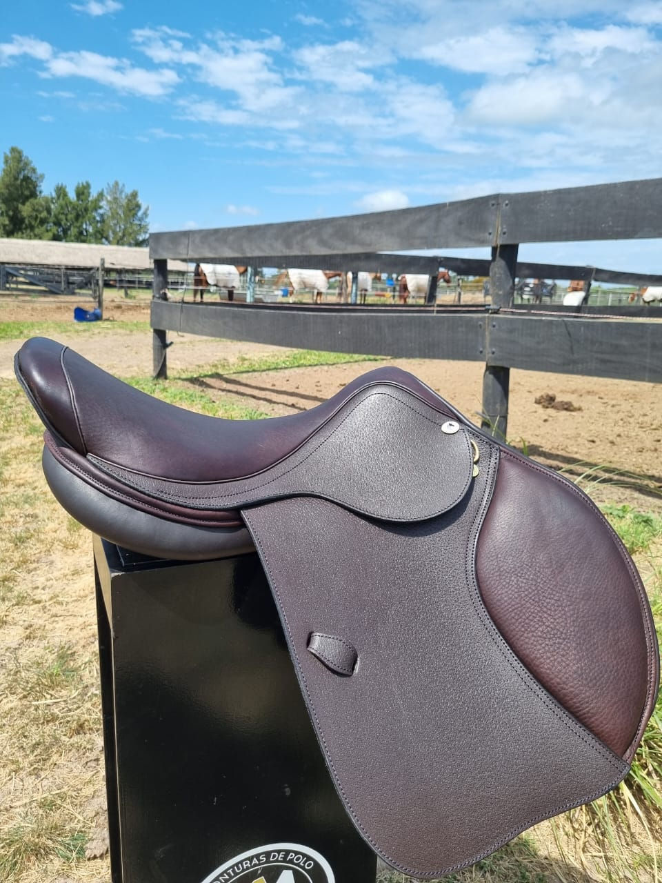 Miniatura: Milenium Saddle