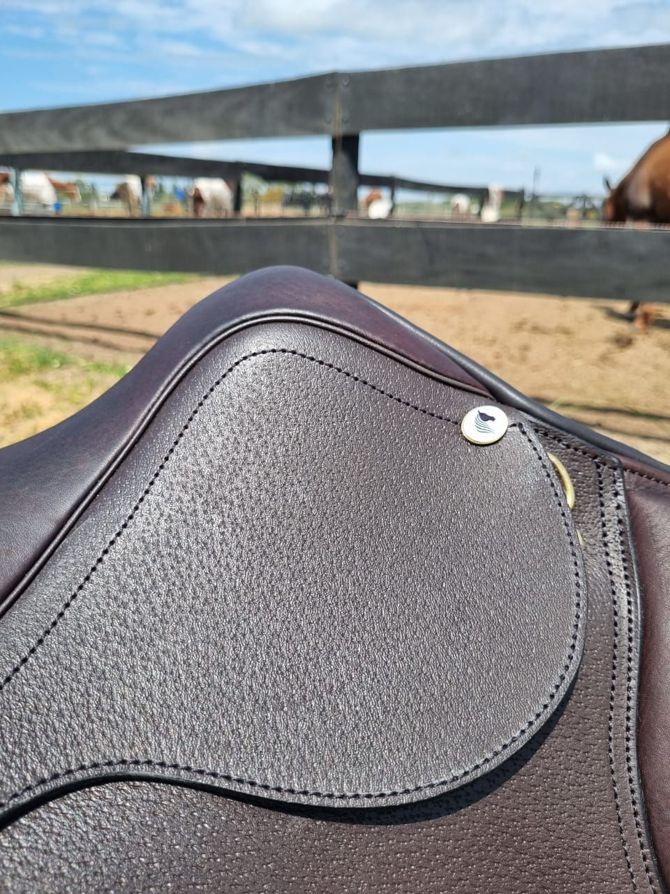 Miniatura: Milenium Saddle
