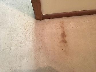 coffee stain on carpet